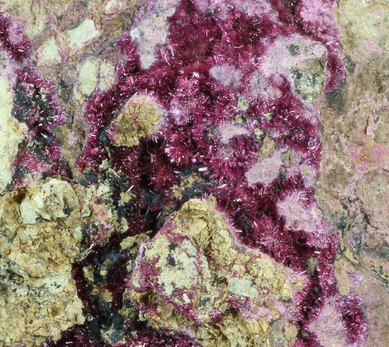 Fibrous Roselite Crystals on Matrix - Morocco #57234